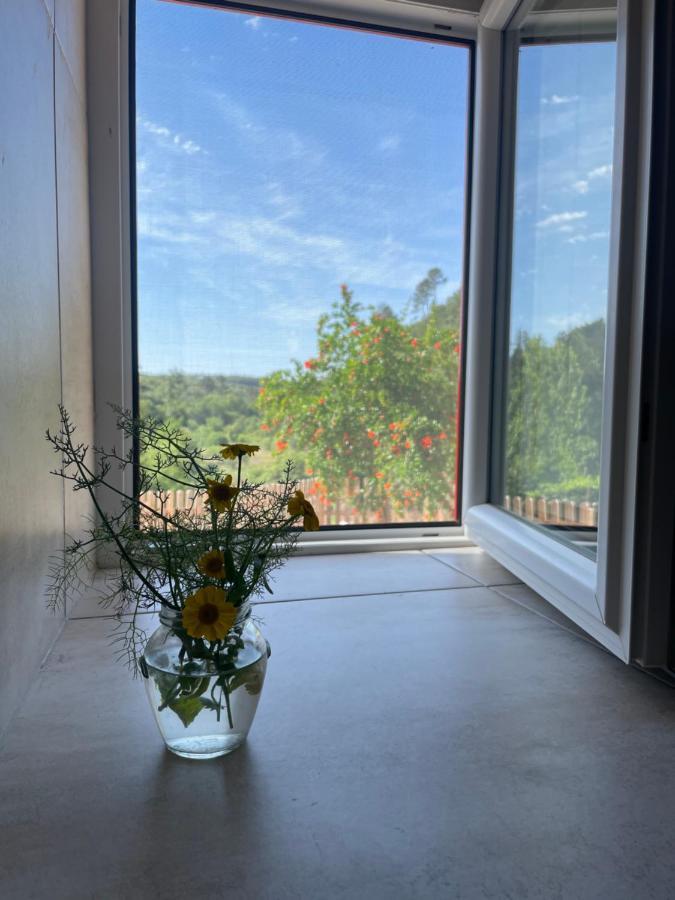 Beija Rio Charming House Βίλα Ferreira do Zêzere Εξωτερικό φωτογραφία