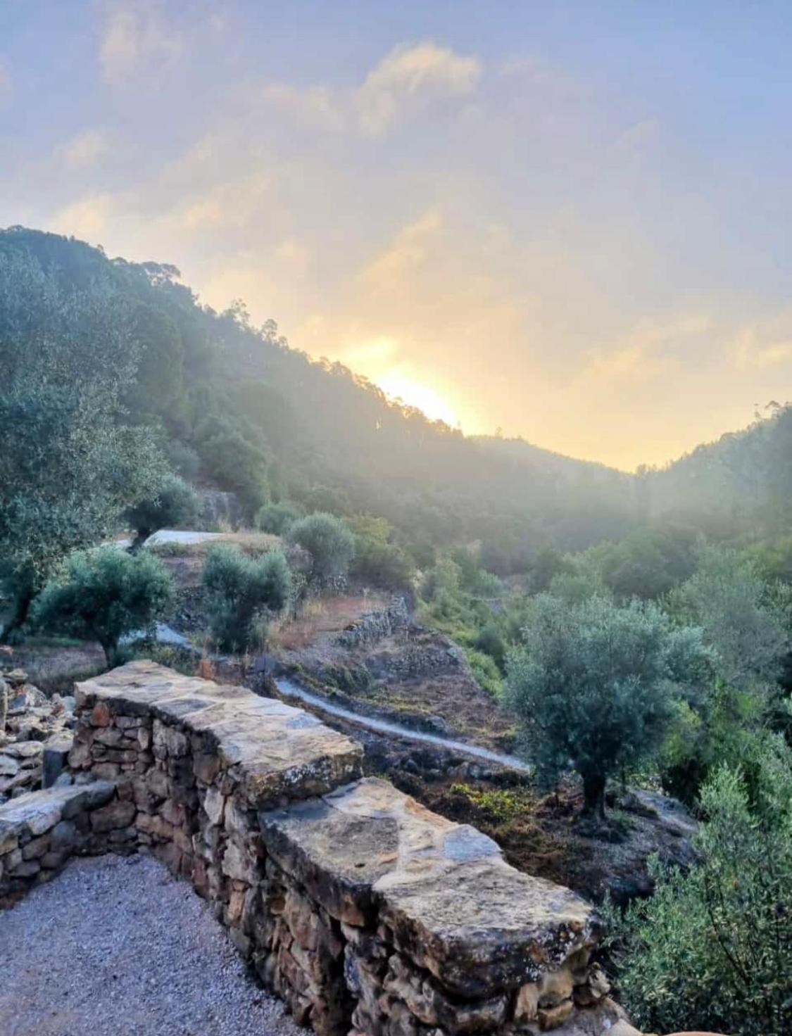 Beija Rio Charming House Βίλα Ferreira do Zêzere Εξωτερικό φωτογραφία